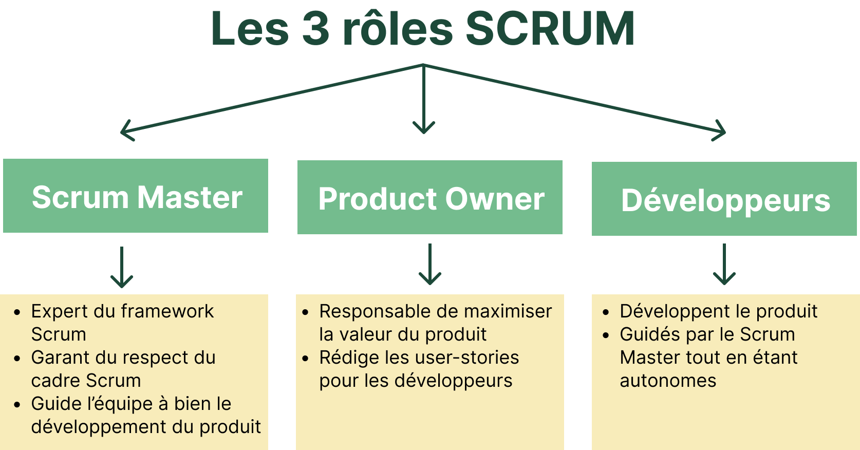 Roles Scrum